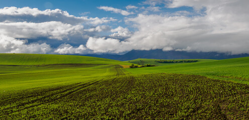 Mountain landscape. A view of the green hills with storm clouds looming over them.