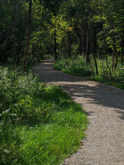A tranquil gravel path winds through a lush forest. Sunlight filters through the green leaves creating a peaceful and inviting scene, ideal for nature explorations.