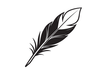 Obraz premium Feather silhouette vector
