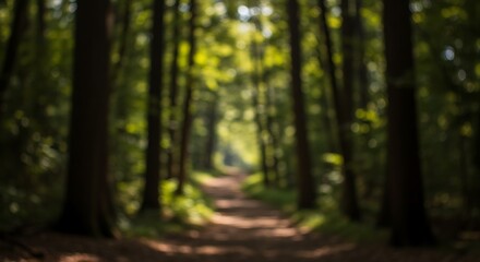 Fototapeta premium Blurred Forest Path: Sunlit Canopy, Woodland Trail, Ethereal Depth.
