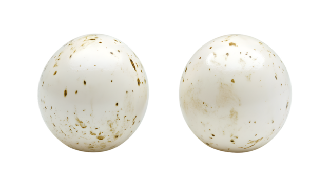 Isolated Duck Eggs: Two White Eggs on Clean White Background for Professional Projects