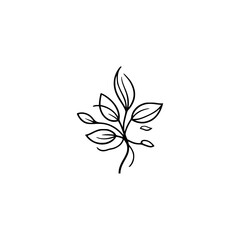 Minimalist Black Line Art Leaf Branch on White, Botanical Design