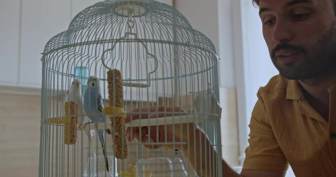 A man interacts with his pet parakeets in their cage. He talks to them and feeds them treats.