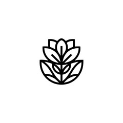 Minimalist Lotus Logo, Black Line Art on White Background