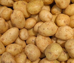 Grupo de patatas en exhibición en el mercado local	
