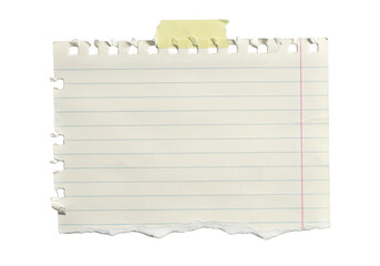 A piece of lined notebook paper with torn bottom and top edges isolated on transparent background