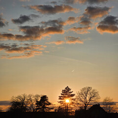 A Beautiful Sunset Over Tall Trees Accompanied by Soft, Fluffy Clouds in the Sky Wunstorf Kolenfeld