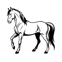 Fototapeta premium Graceful white horse vector, artistic movement pose, elegant equine icon, animal symbol, wild horse logo, minimal pet design, galloping silhouette, majestic horse illustration.