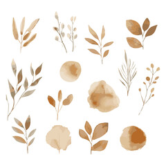 Beige Foliage Autumn watercolor elements, leaves