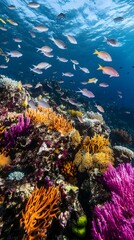 An underwater scene with schools of fish swimming around vibrant coral reefs