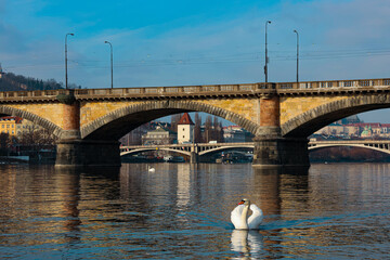 Charles bridge 