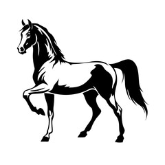 Obraz premium Vector illustration of a horse rearing with grace