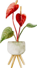 watercolor flamingo flower plant