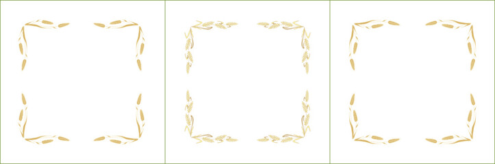 Set of three elegant green and yellow ornamental frame with cereal spikelets, wheat ears, cereal seeds, decorative border. Isolated vector illustration.	
