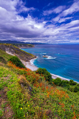 Vidio Cliffs Path, Cantabrian Sea, Surroundings of the Cabo de Vidio Lighthouse Path, Cudillero, Principado de Asturias, Spain, Europe