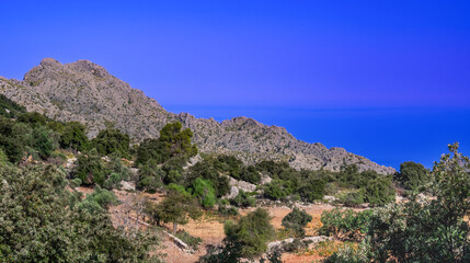 Fototapeta premium Paraje Natural de la Sierra de Tramuntana, UNESCO World Heritage Site, Mallorca, Islas Baleares, Spain, Europe