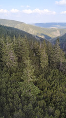 Majestic snezka mountain dominating the czech landscape with lush pine forests in august