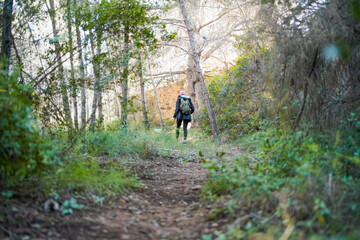 Obraz premium Hiker enjoying a walk with her dog in a peaceful forest setting