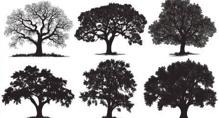 Obraz premium Stylized Oak Tree Silhouettes: Black And White Graphic Collection
