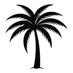 palm tree silhouette