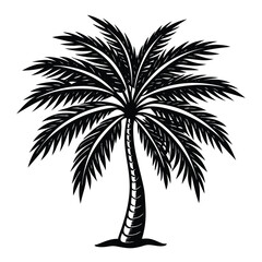 Obraz premium palm tree silhouette