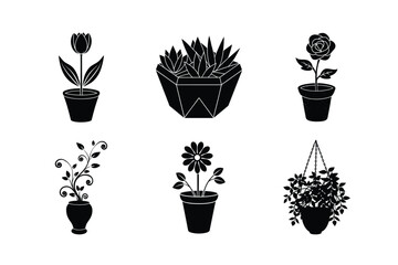Collection of Black and White Decorative Plant Pots