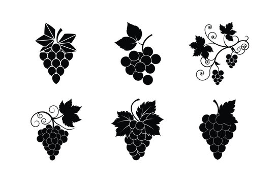 Elegant Black and White Grape Silhouettes for Design
