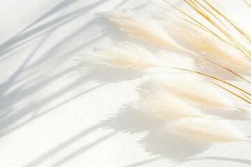 Fototapeta premium minimalistic close-up of frost-covered grass with golden sunlight casting soft shadows creating tranquil and clean