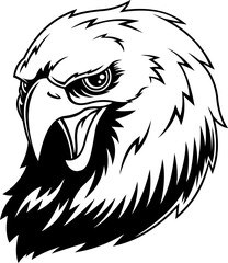 Bald Eagle Head In Black And White Style With Fierce Expression