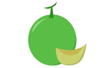 vector illustration of a melon, Fruit