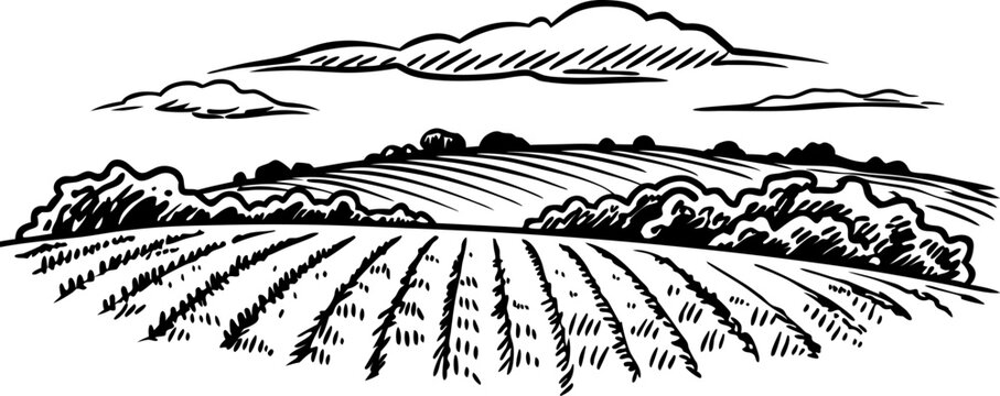 scenic rural landscape illustration with rolling fields and cloudy sky, classic countryside view
