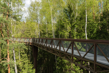 a treetop walking path among various trees in Anyksciai, Lithuania in spring