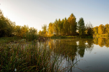 River landscape on a sunny autumn morning. The serenity and tranquility of an autumn morning on the banks of a narrow rural river.