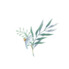 Naklejka premium Cute floral decor. Watercolor illustrations isolated on white background. Flower and green leaves.