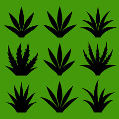 Obraz premium cannabis leaf vector illustration
