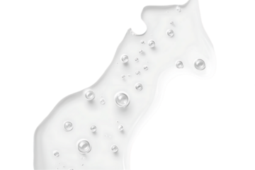 Horse Shaped Clear Gel with Bubbles on Transparent Background, PNG