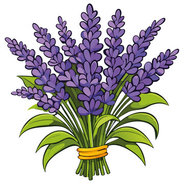 Herb Plants clip art preview