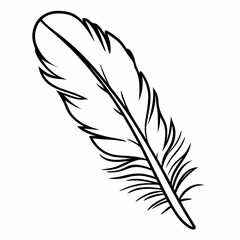 Obraz premium vector illustration of feather