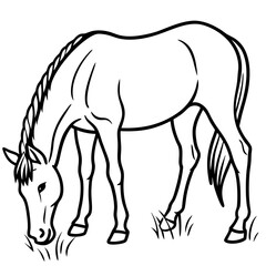 Fototapeta premium horse vector illustration