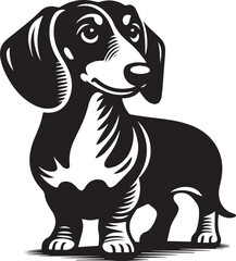 Dachshund Dog Vector Black & White | Silhouette, Clipart, Line Art