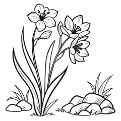 vector illustration of a flower