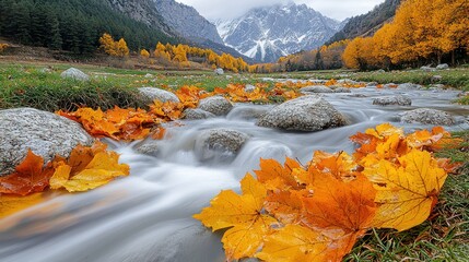 Autumn Serenity: A Mountain Stream's Golden Embrace