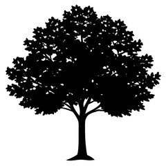 Fototapeta premium vector tree silhouette