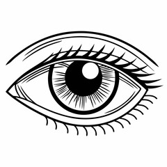 human eye vector illustration