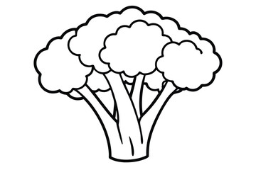Vector illustration of broccoli isolated on white background. Healthy food or vegan and vegetarian theme. Fresh organic farm vegetables.