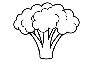 Vector illustration of broccoli isolated on white background. Healthy food or vegan and vegetarian theme. Fresh organic farm vegetables.