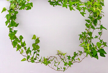 ツタの葉フレーム-01