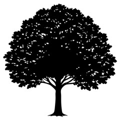 Fototapeta premium tree silhouette isolated on white