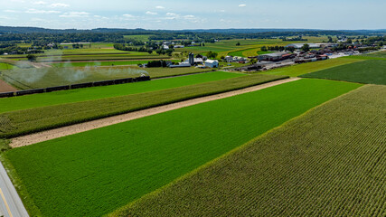 Expansive fields of bright green crops stretch across the landscape, showcasing a steam train passing the beauty of agriculture. A tranquil rural town lies in the distance, framed by lush hills.