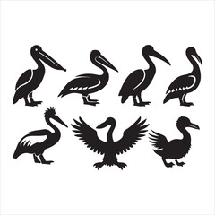 set of pelicans vector bird